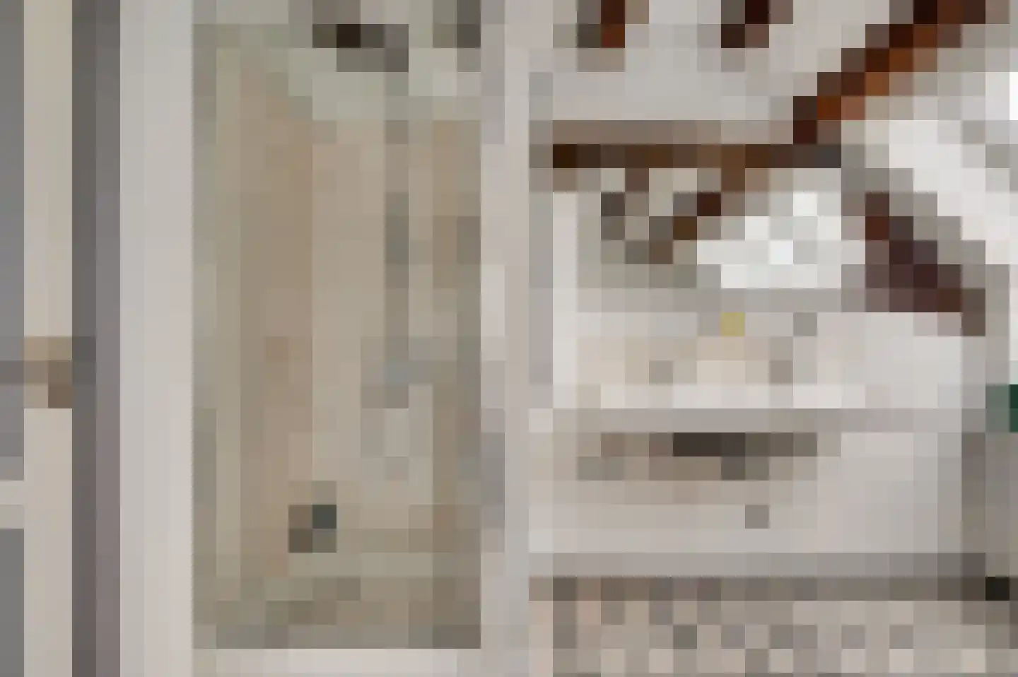 Dorpsstraat 32 Buggenum thumbnail 34