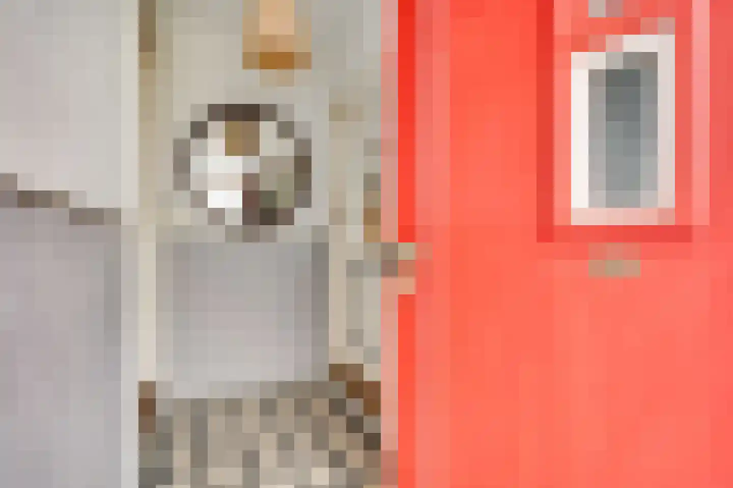 Dorpsstraat 32 Buggenum thumbnail 4