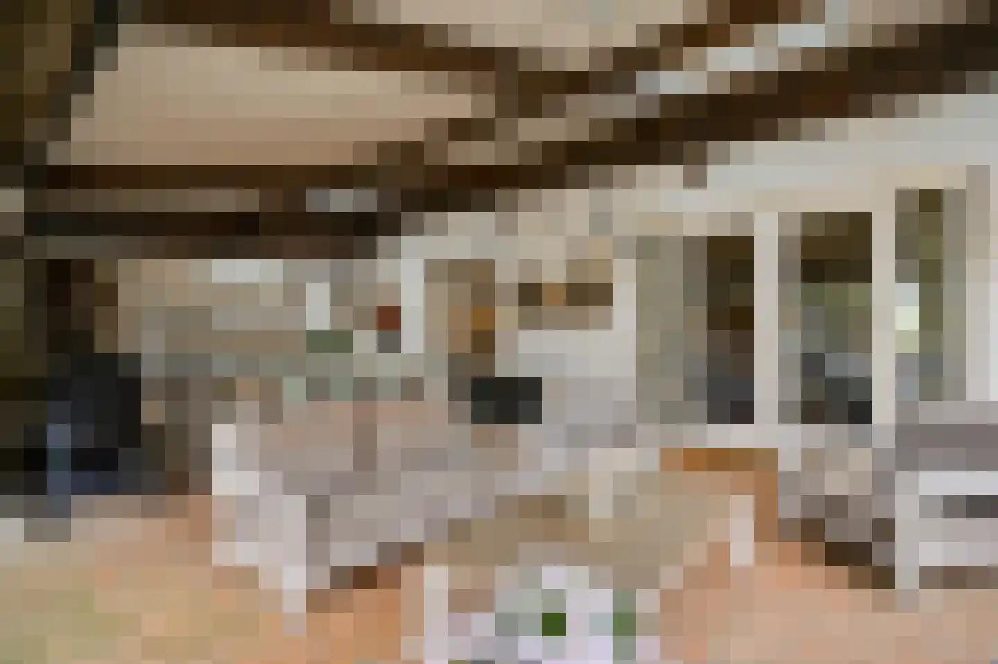 Dorpsstraat 32 Buggenum thumbnail 40
