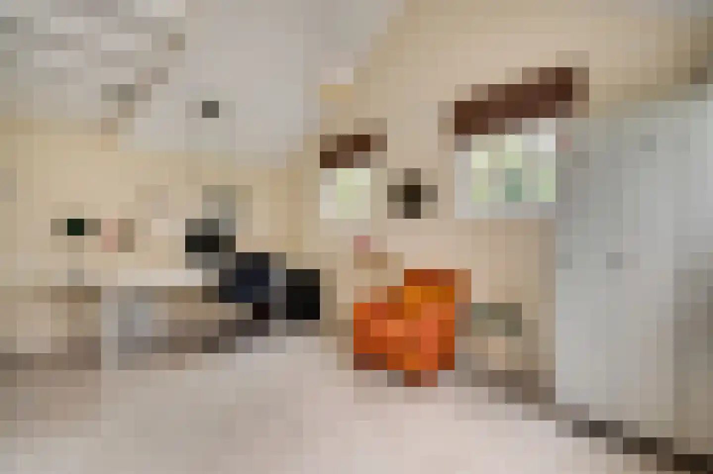 Dorpsstraat 32 Buggenum thumbnail 46