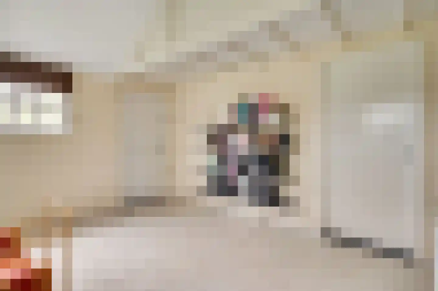 Dorpsstraat 32 Buggenum thumbnail 47