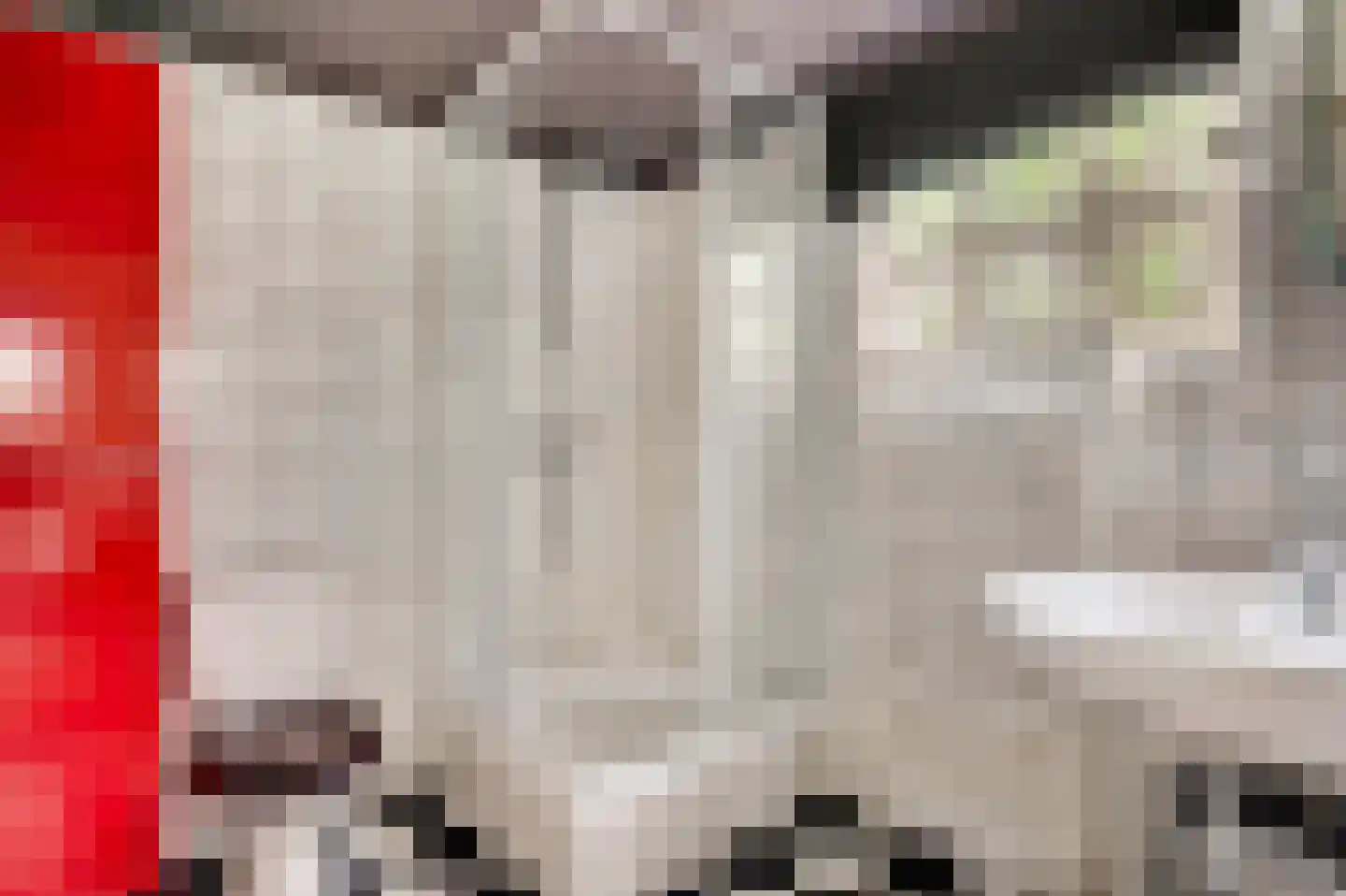 Dorpsstraat 32 Buggenum thumbnail 48