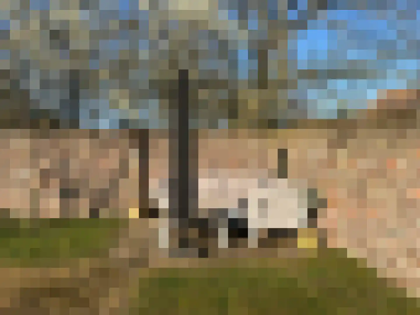 Dorpsstraat 32 Buggenum thumbnail 55
