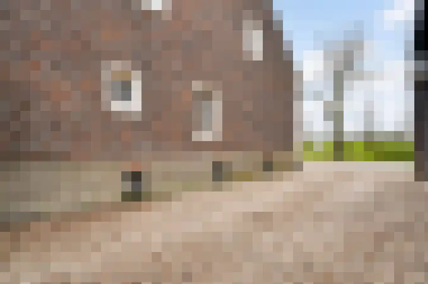 Dorpsstraat 32 Buggenum thumbnail 58