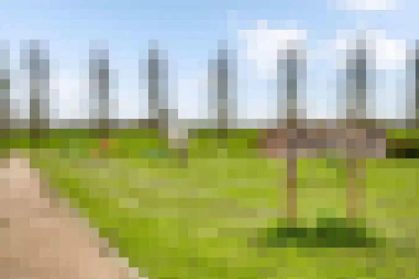 Dorpsstraat 32 Buggenum thumbnail 64