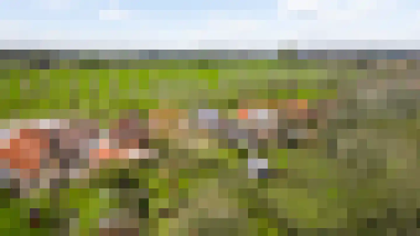 Dorpsstraat 32 Buggenum thumbnail 72