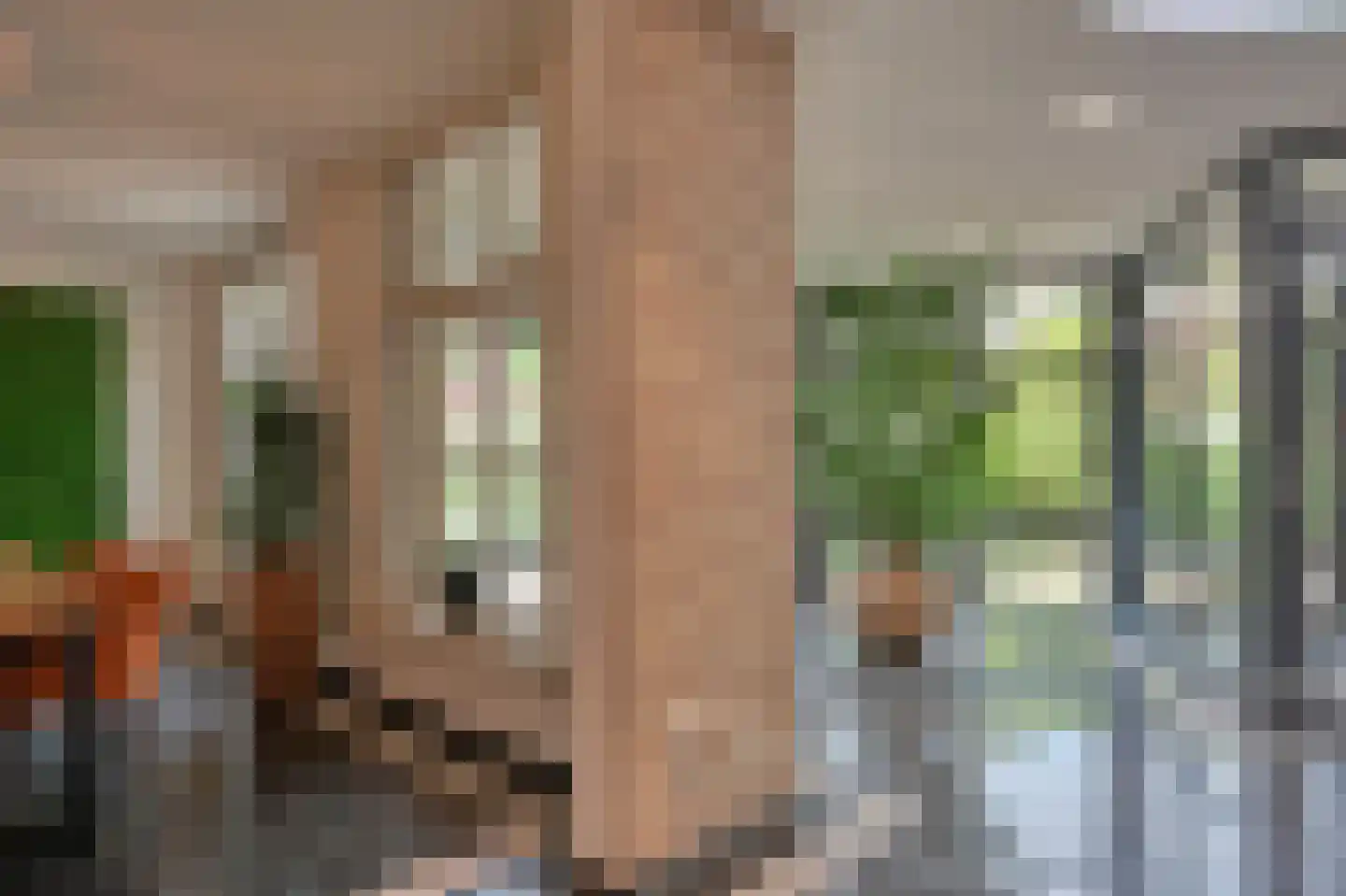 Dorpsstraat 32 Hummelo thumbnail 13