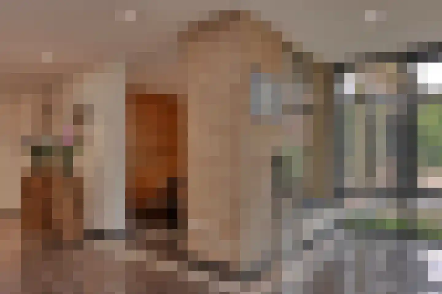 Dorpsstraat 32 Hummelo thumbnail 14