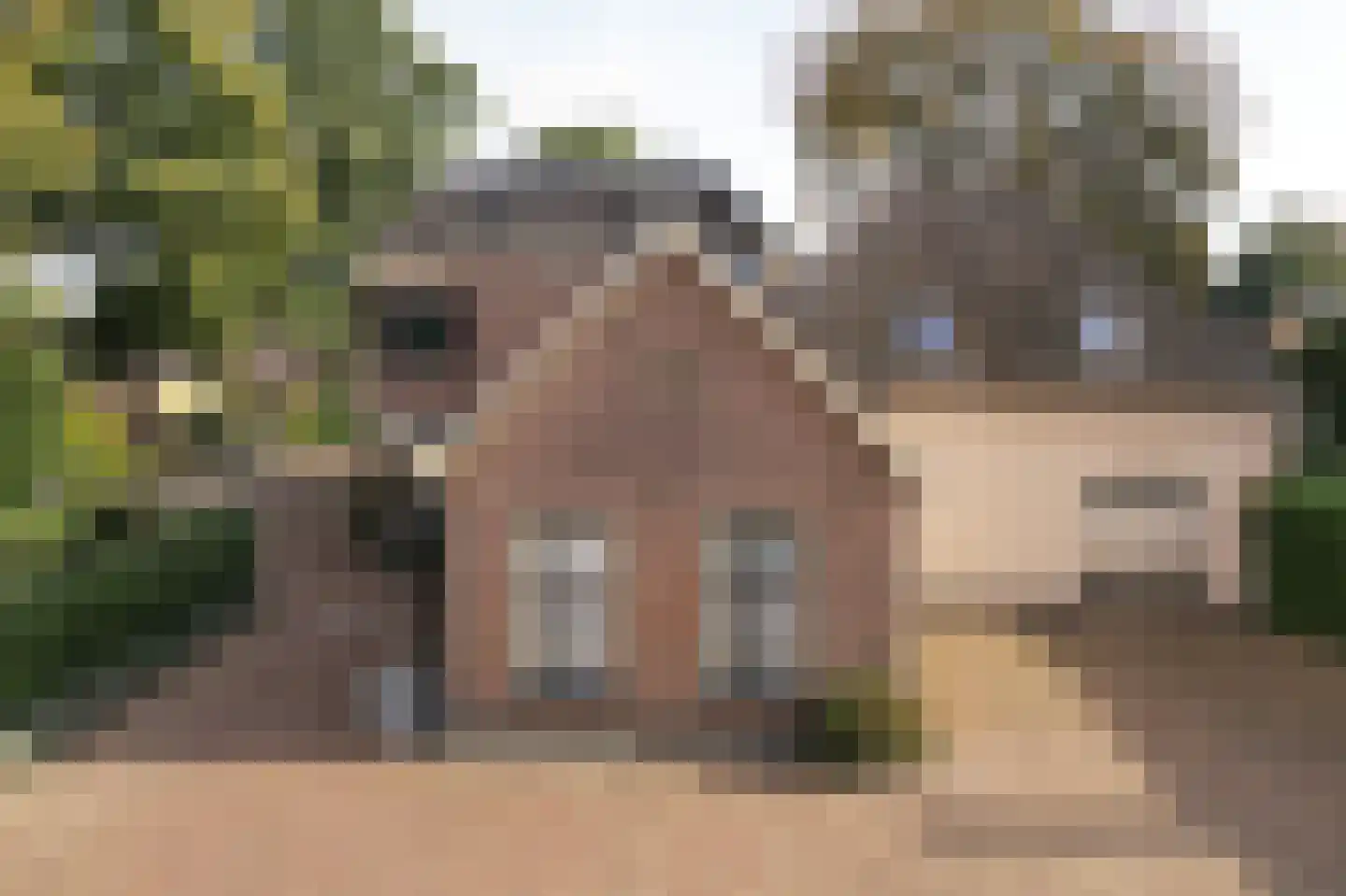 Dorpsstraat 32 Hummelo thumbnail 30