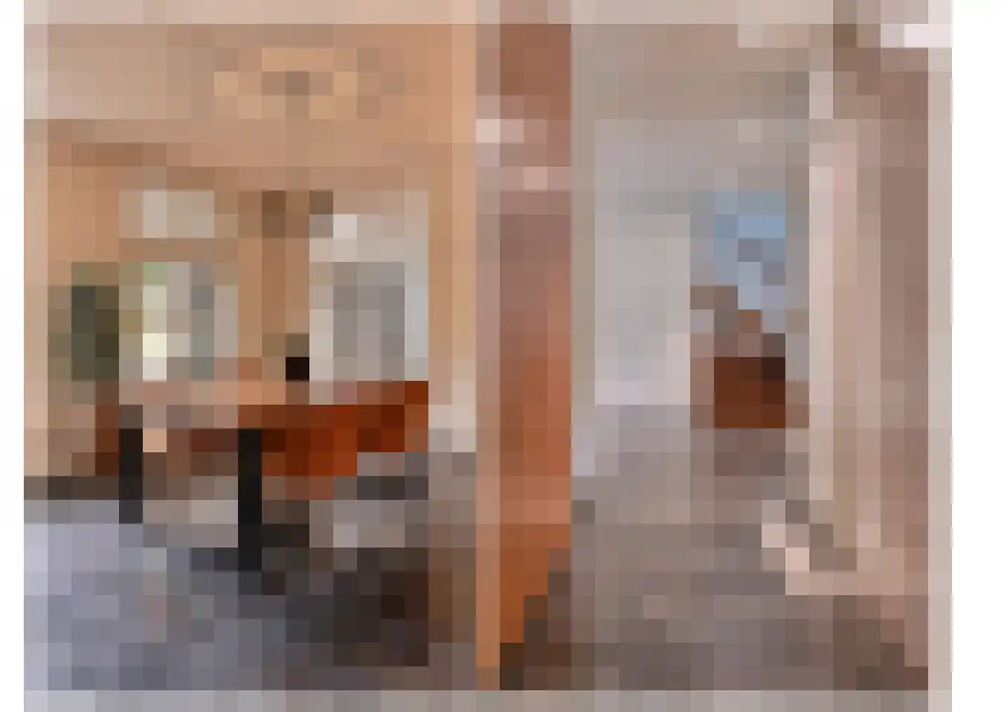 Dorpsstraat 32 Hummelo thumbnail 9