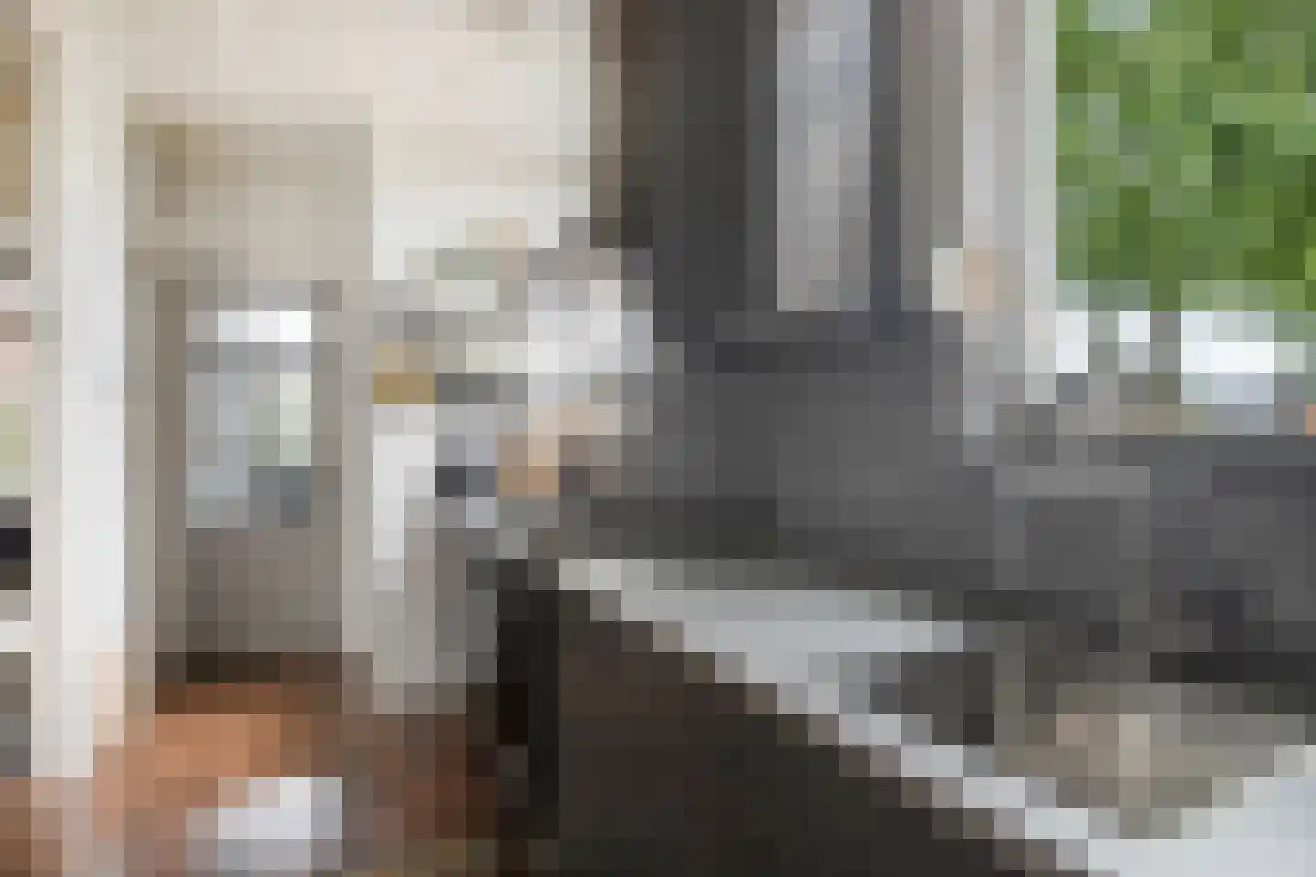 Dorpsstraat 32 Nijeveen thumbnail 10