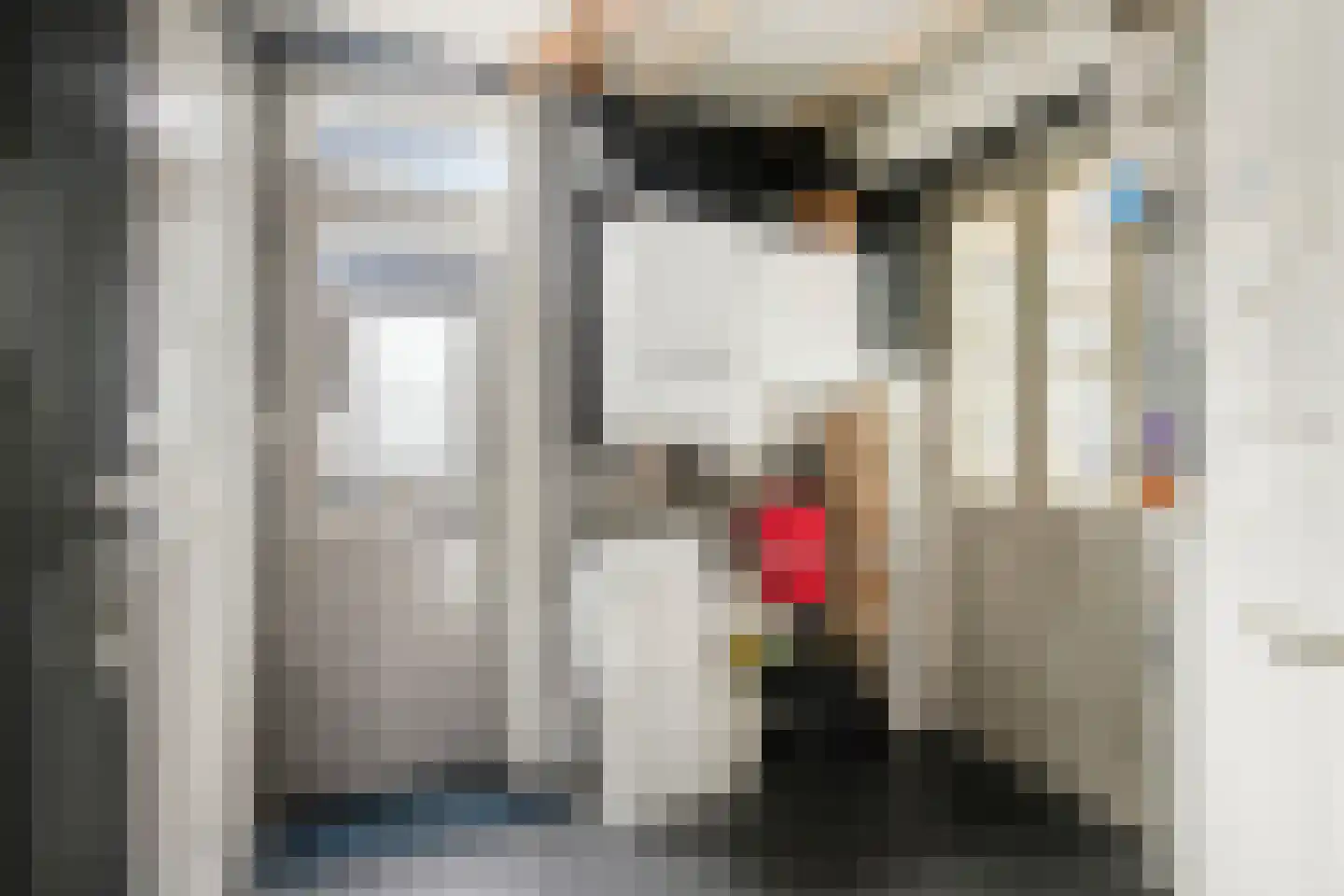 Dorpsstraat 32 Nijeveen thumbnail 12