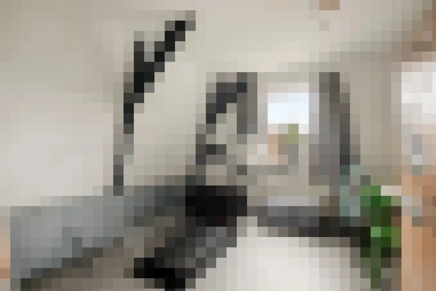 Dorpsstraat 32 Nijeveen thumbnail 22