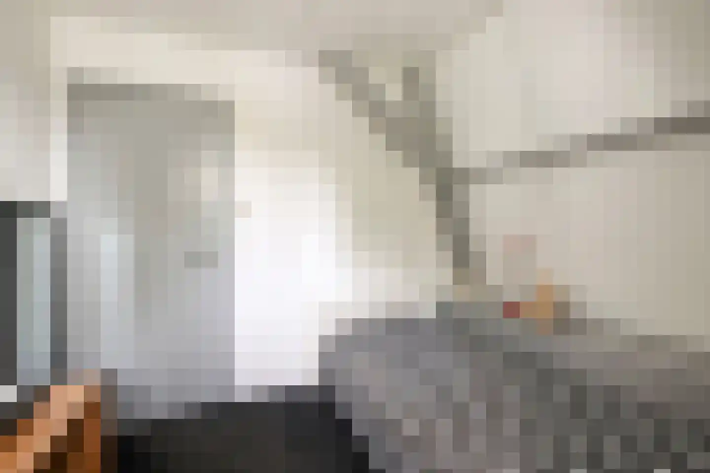 Dorpsstraat 32 Nijeveen thumbnail 25