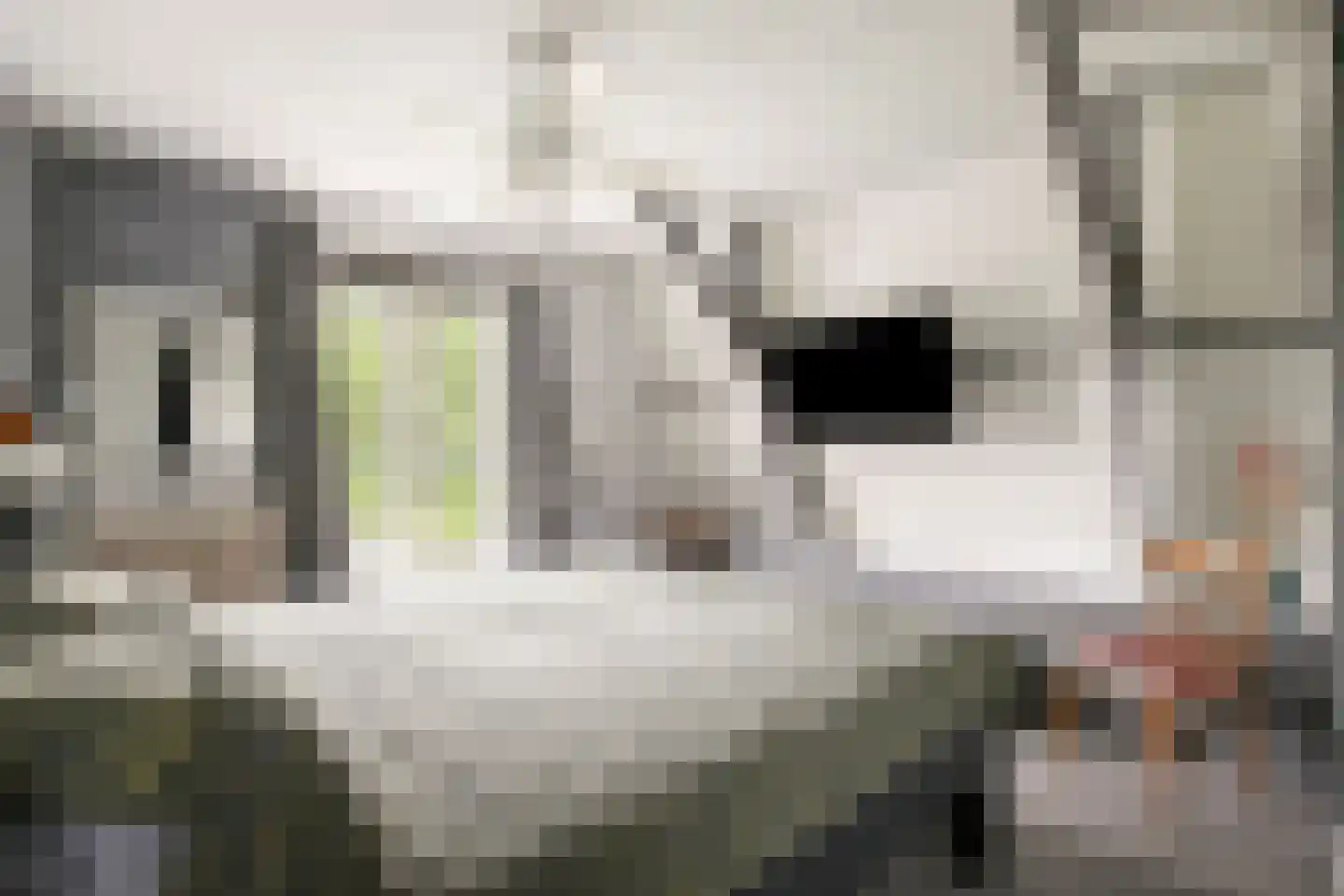 Dorpsstraat 32 Nijeveen thumbnail 26