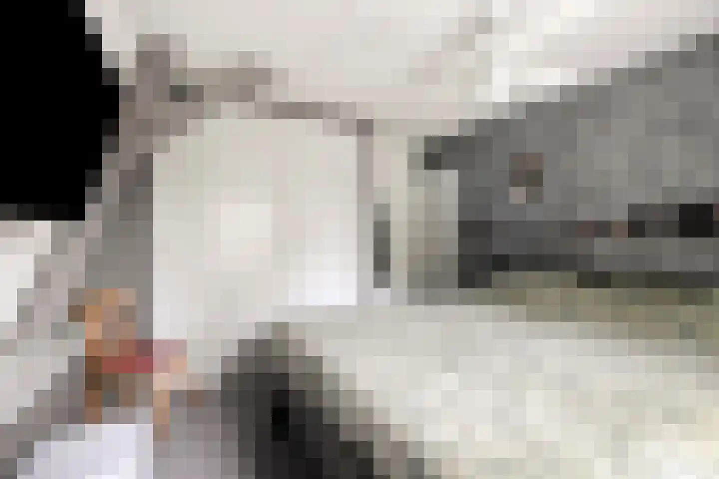 Dorpsstraat 32 Nijeveen thumbnail 27