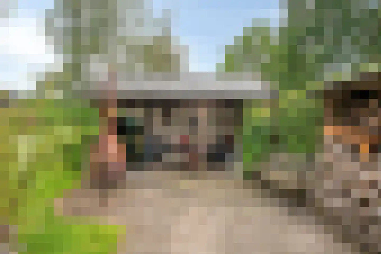 Dorpsstraat 32 Nijeveen thumbnail 31