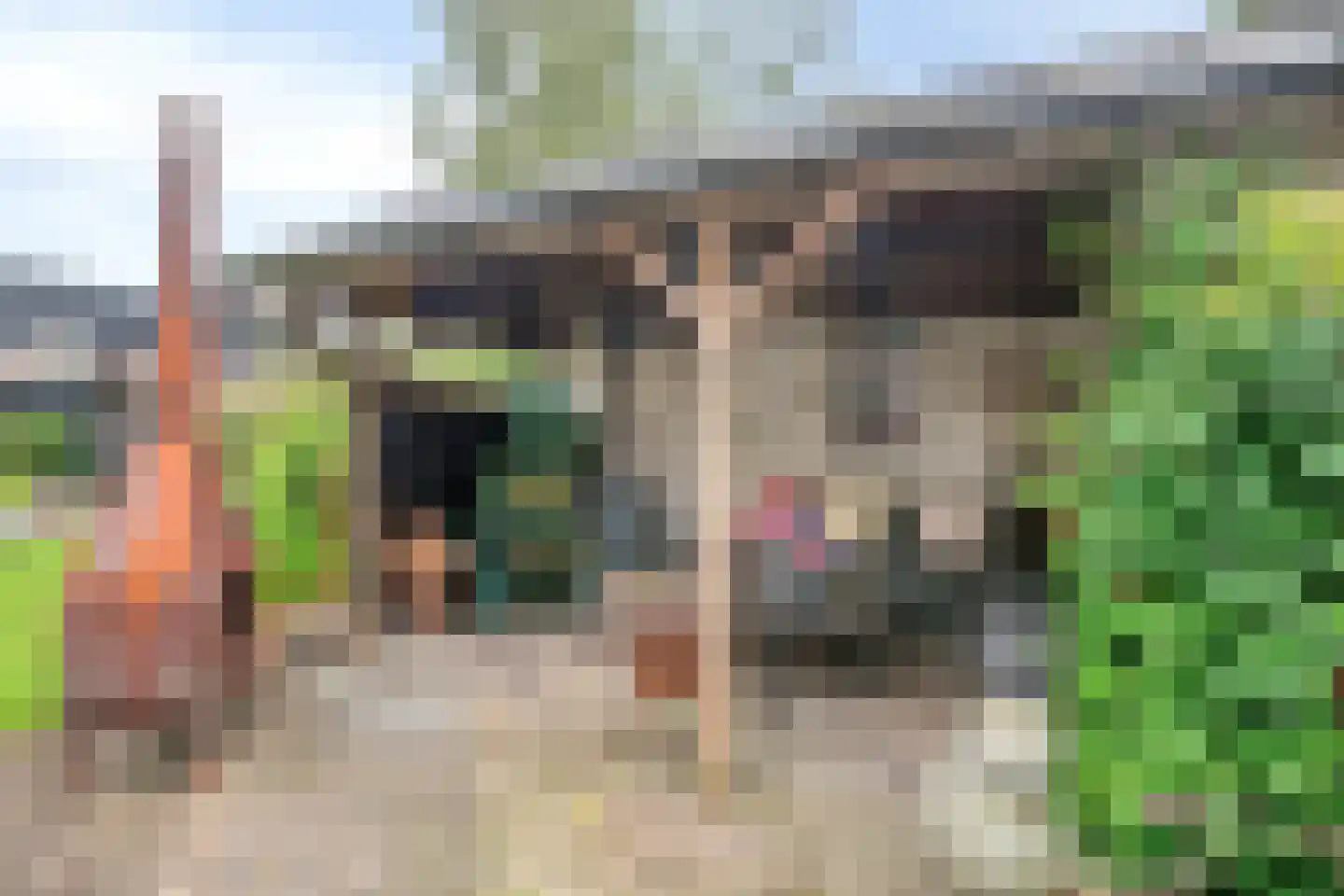 Dorpsstraat 32 Nijeveen thumbnail 32