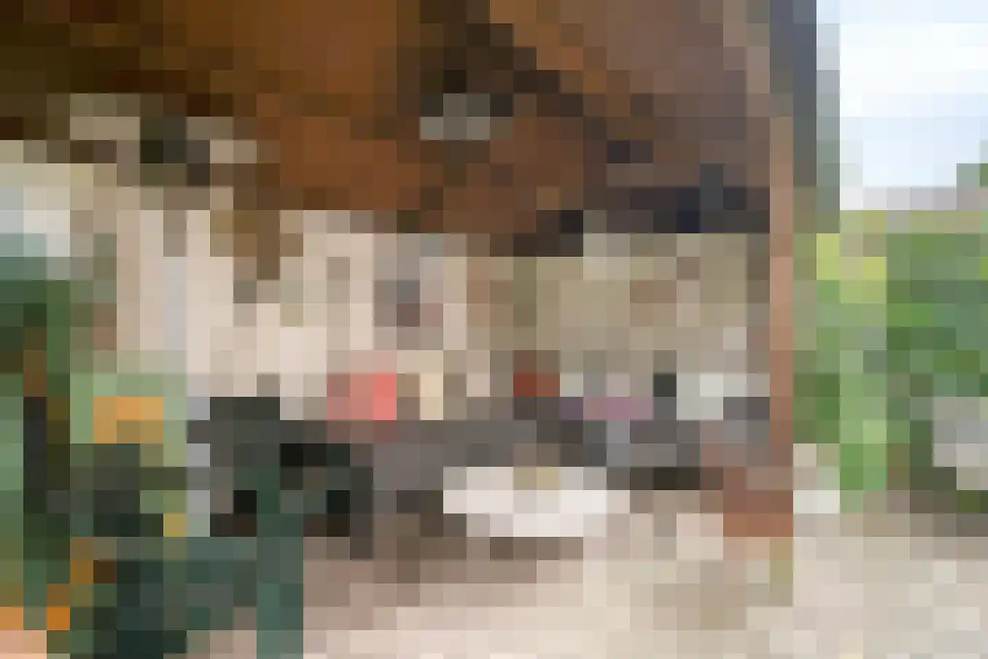 Dorpsstraat 32 Nijeveen thumbnail 33