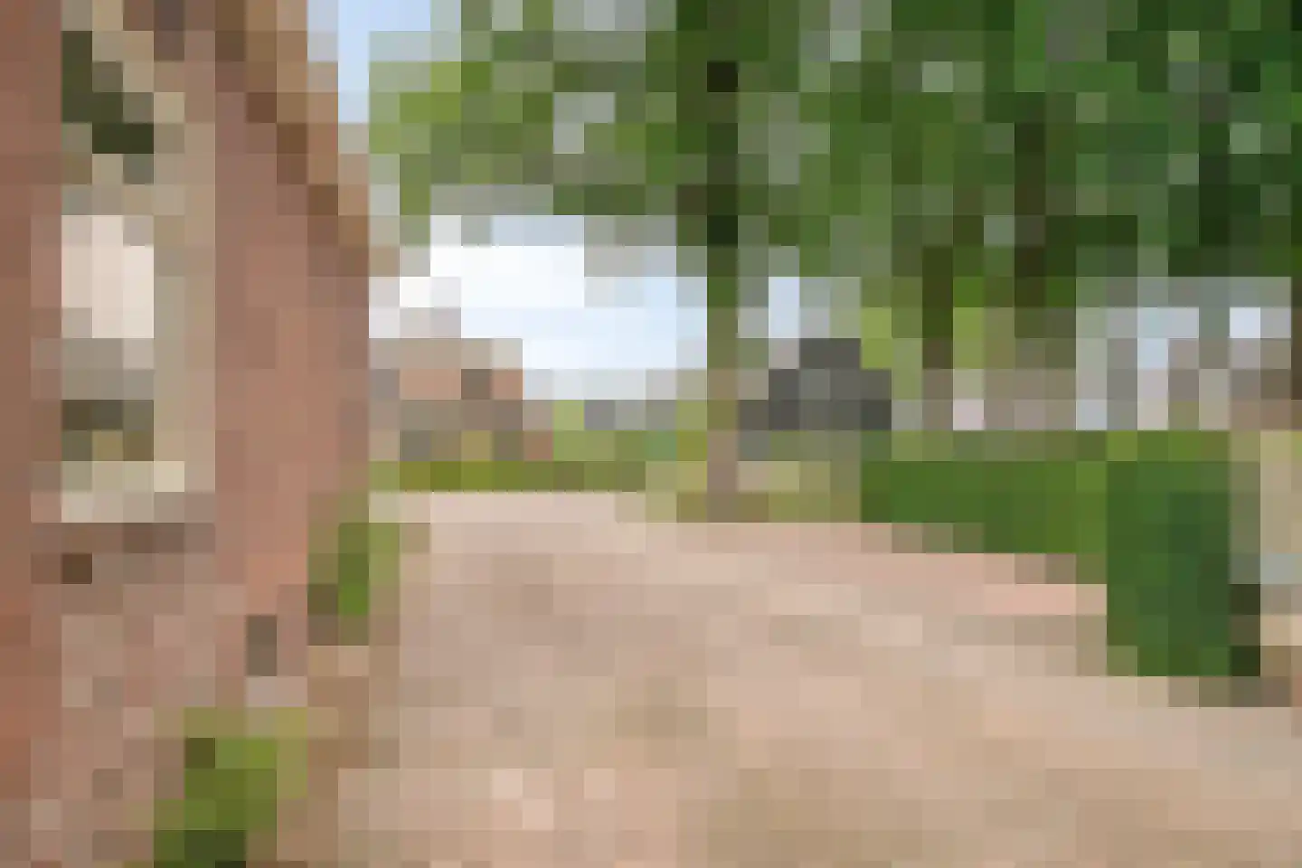 Dorpsstraat 32 Nijeveen thumbnail 36