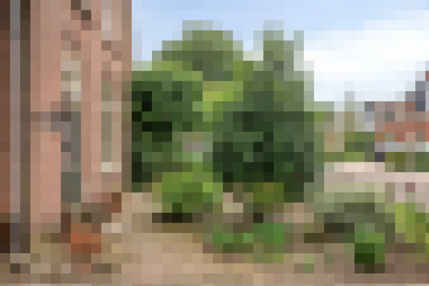 Dorpsstraat 32 Nijeveen thumbnail 37