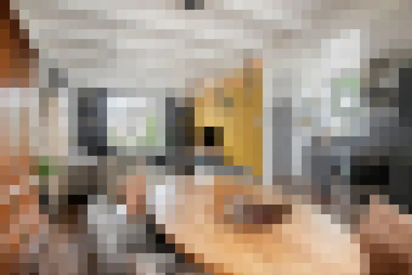 Dorpsstraat 32 Nijeveen thumbnail 6