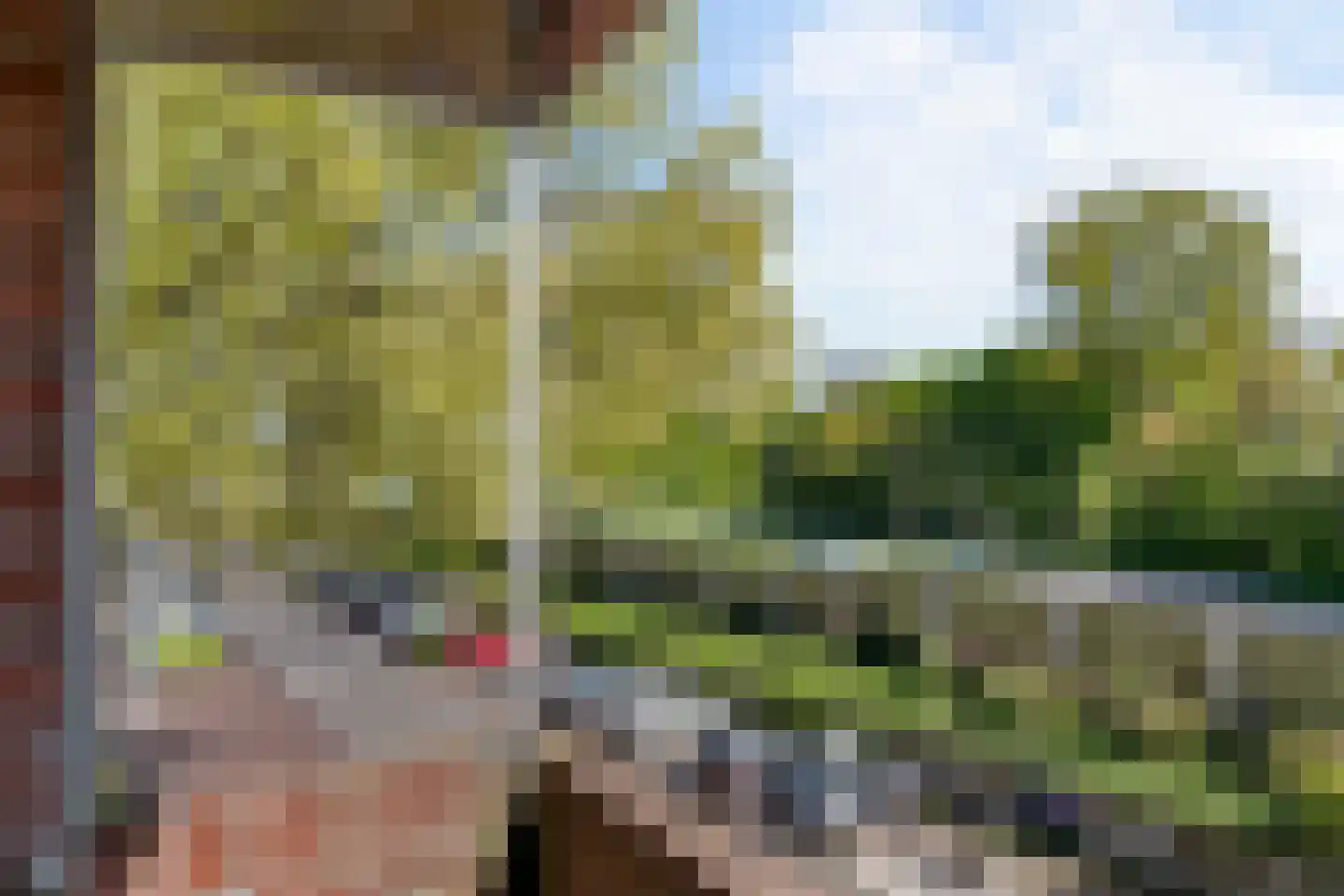 Dorpsstraat 32 O Renkum thumbnail 20