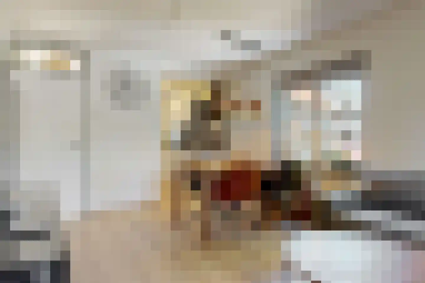 Dorpsstraat 32 O Renkum thumbnail 4