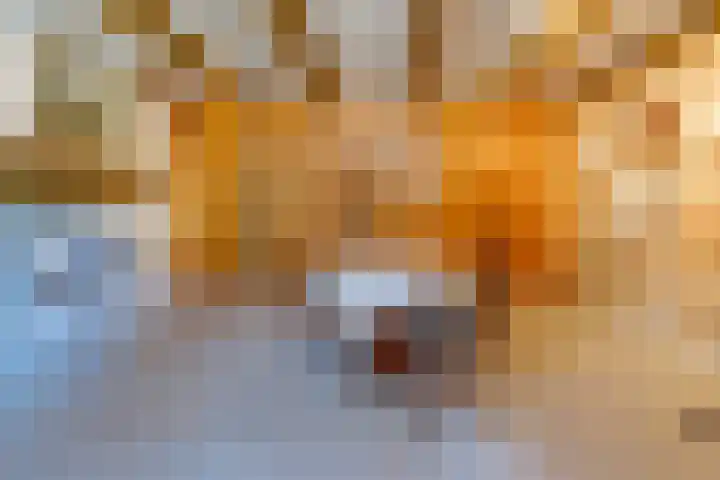 Dorpsstraat 32 Sellingen thumbnail 17
