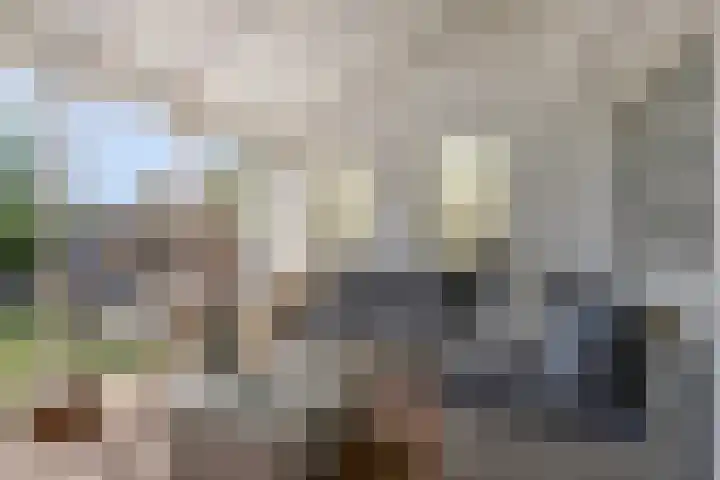 Dorpsstraat 32 Wervershoof thumbnail 23