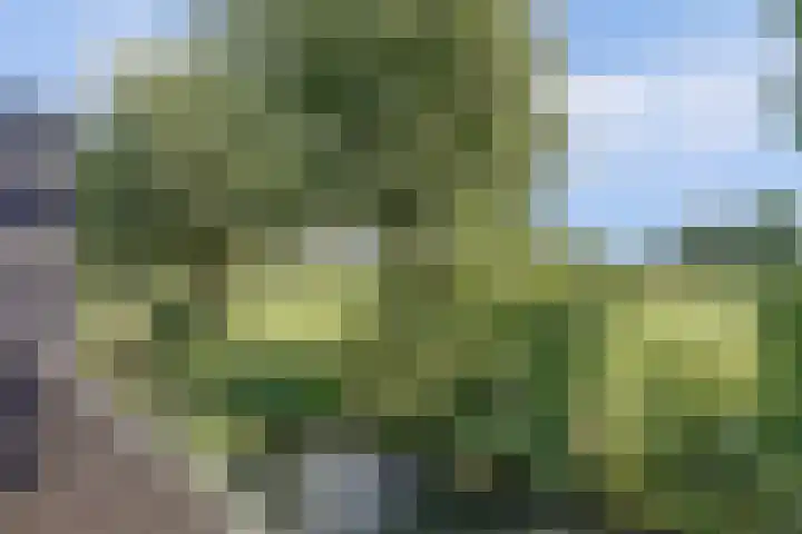 Dorpsstraat 32 Wervershoof thumbnail 25