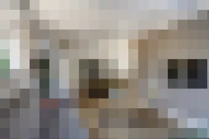 Dorpsstraat 32 Wervershoof thumbnail 7