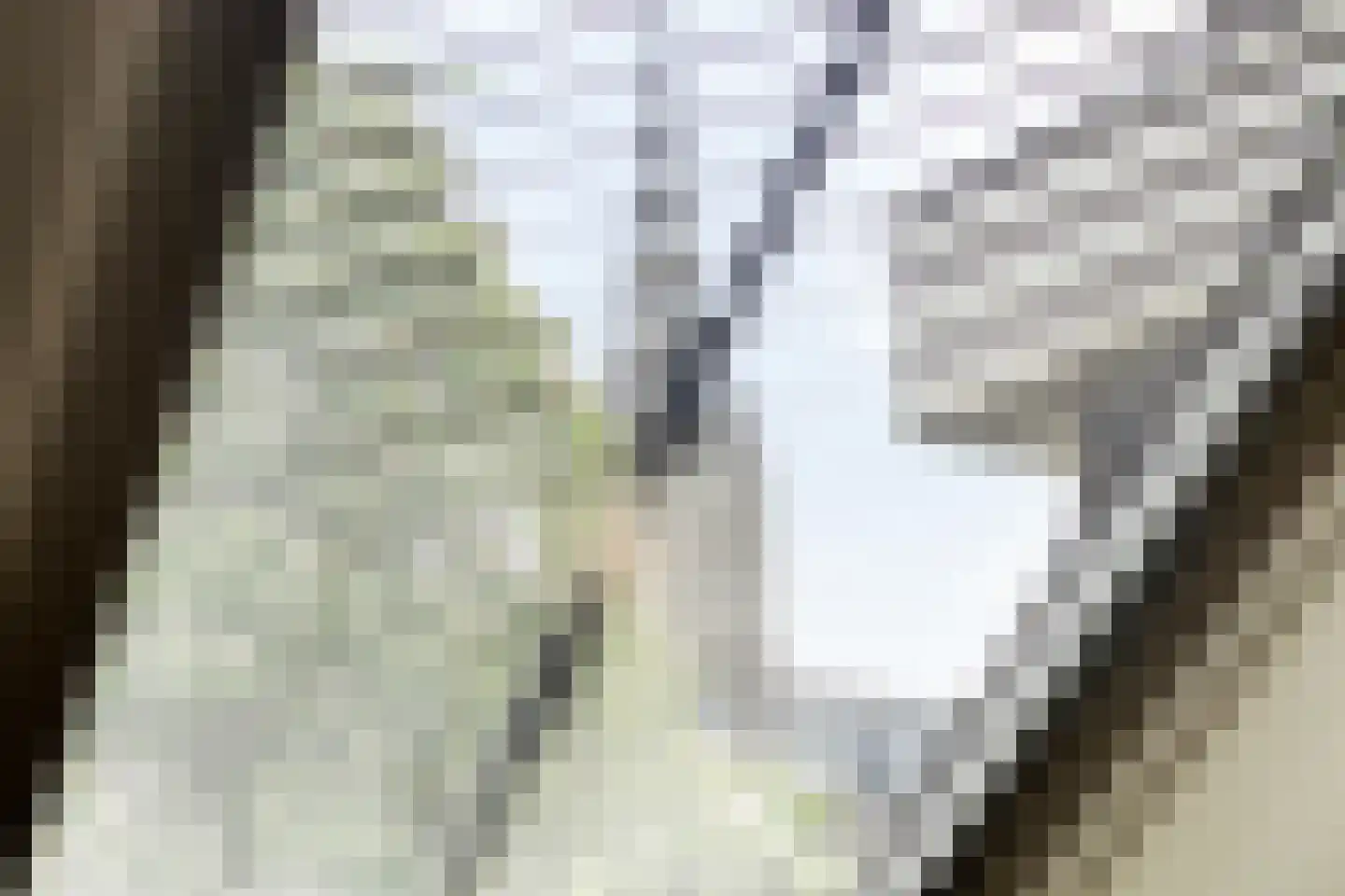 Dorpsstraat 32 Zieuwent thumbnail 37