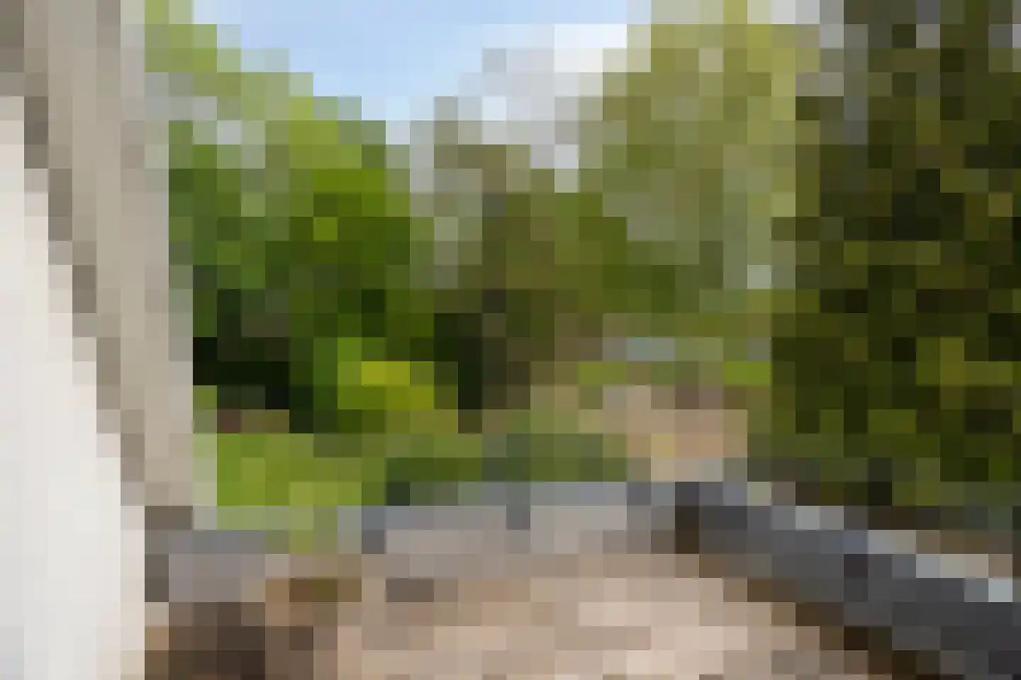 Dorpsstraat 32 Zieuwent thumbnail 44