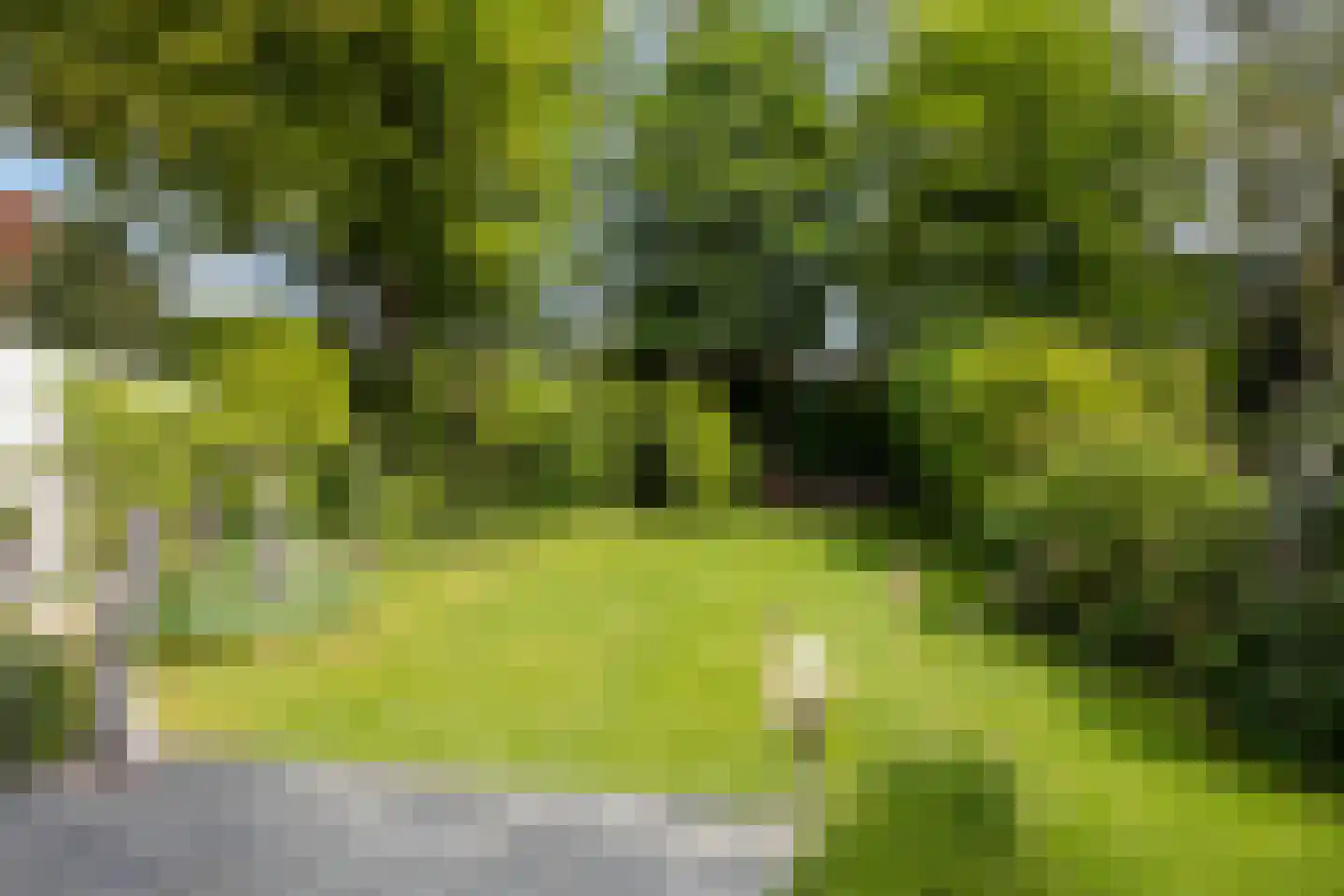 Dorpsstraat 32 Zieuwent thumbnail 50