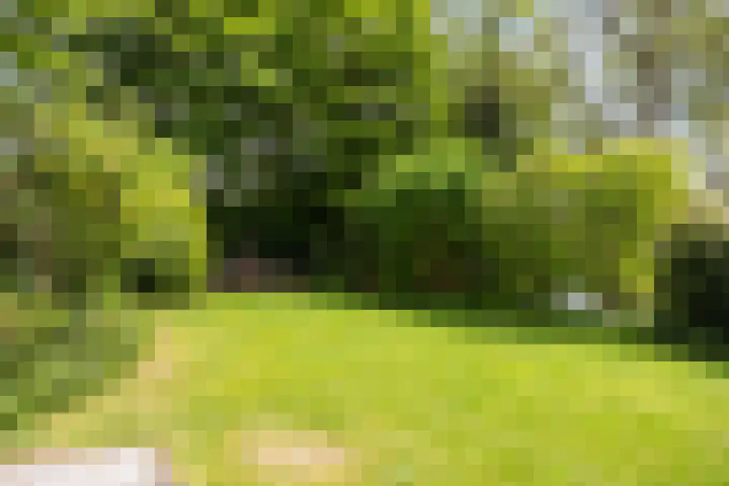 Dorpsstraat 32 Zieuwent thumbnail 52