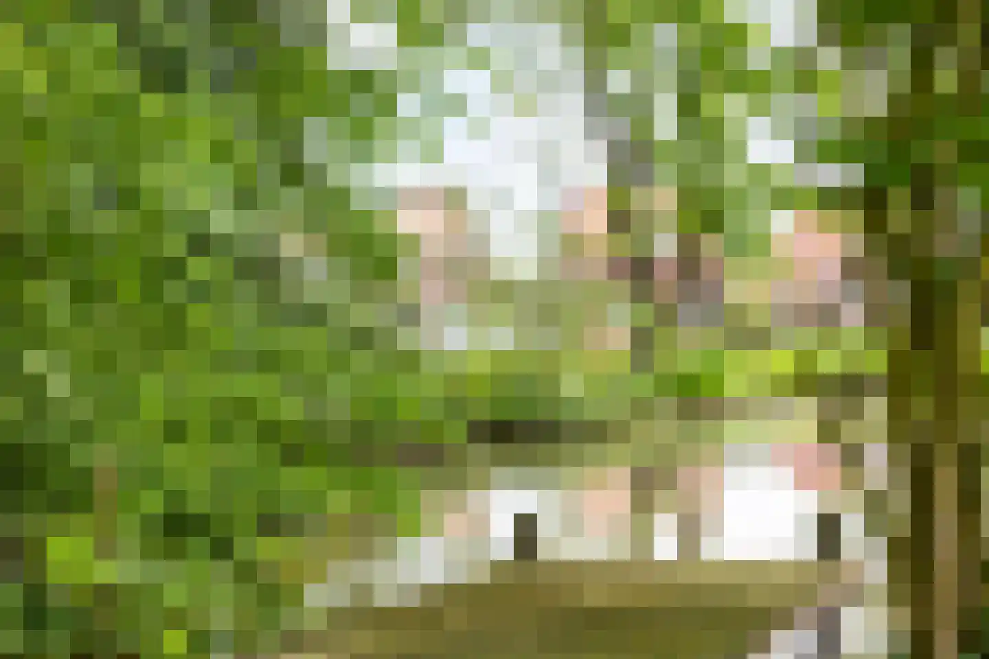 Dorpsstraat 32 Zieuwent thumbnail 57