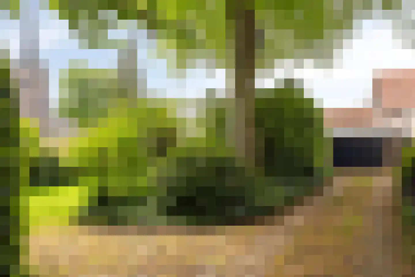 Dorpsstraat 32 Zieuwent thumbnail 59