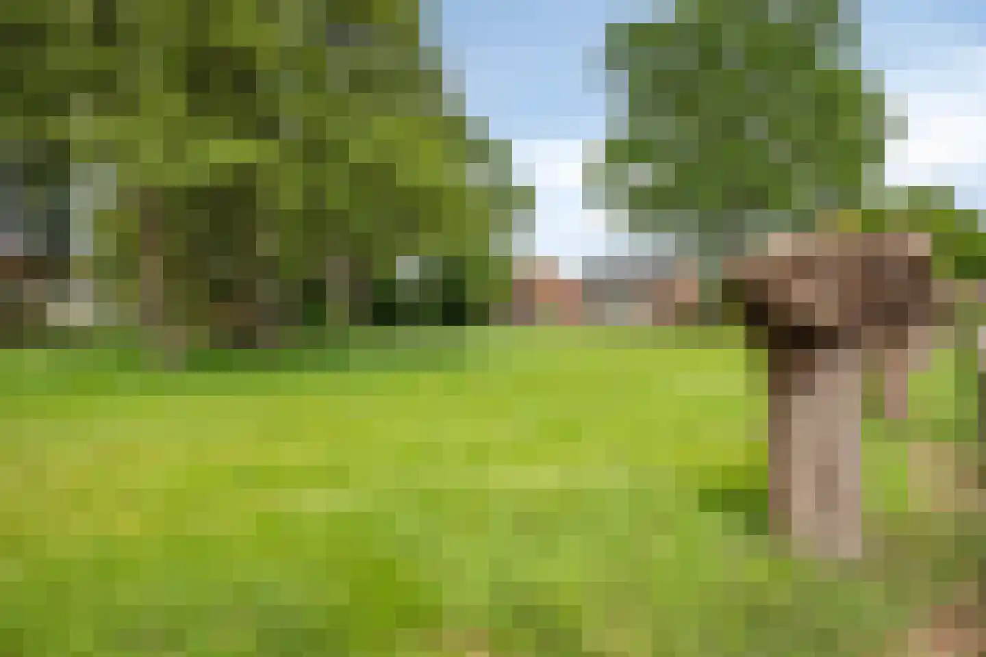Dorpsstraat 32 Zieuwent thumbnail 64