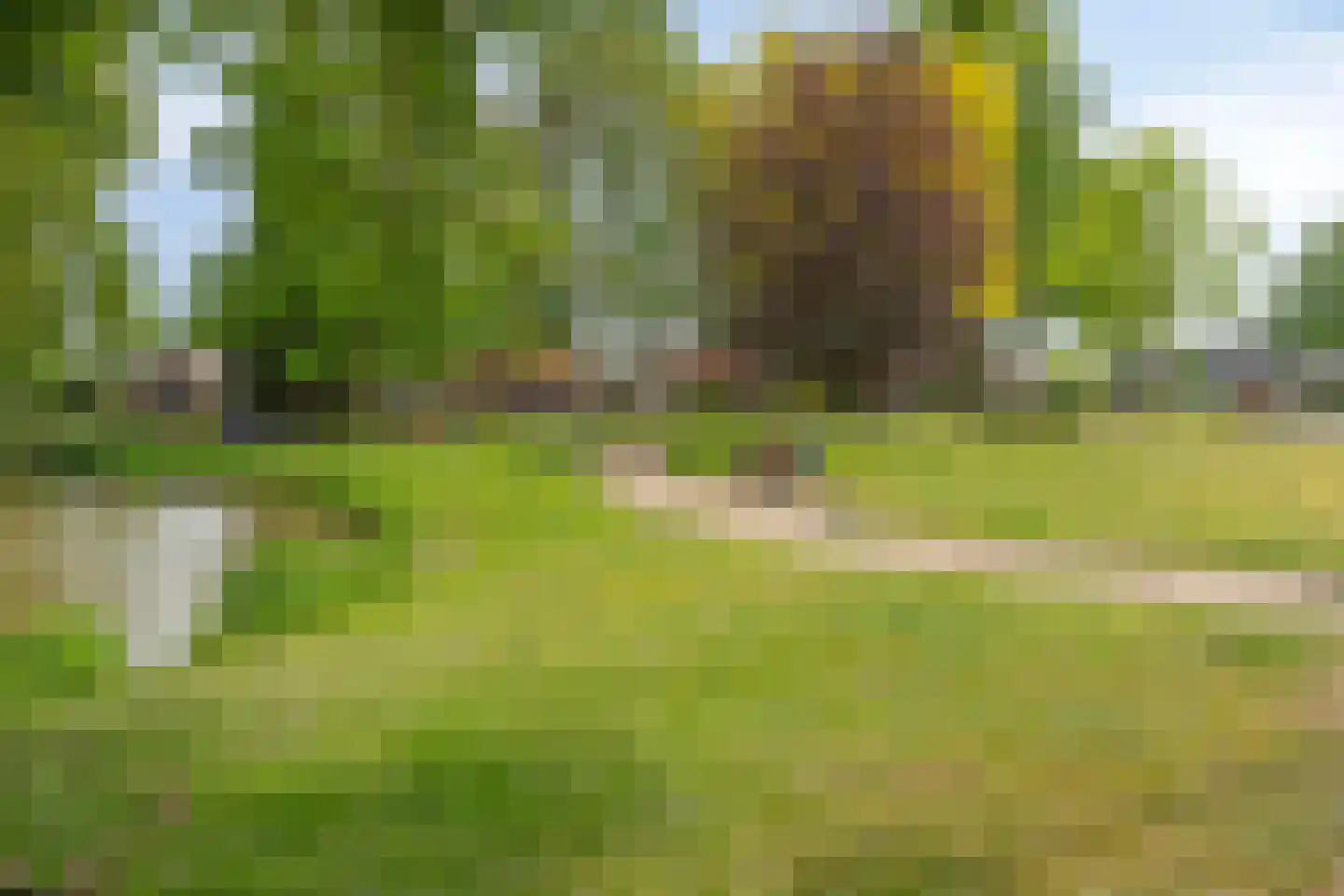 Dorpsstraat 32 Zieuwent thumbnail 70