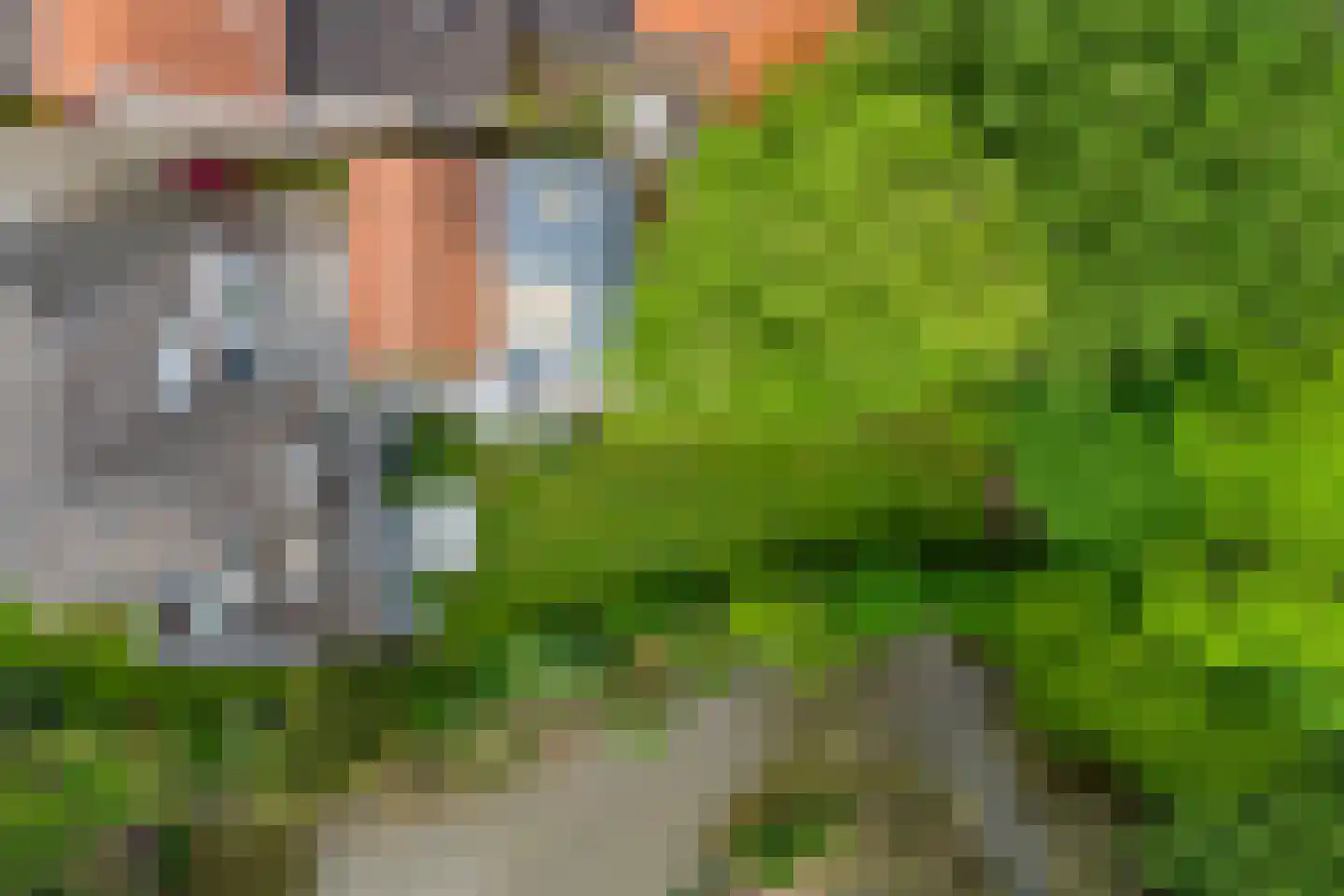 Dorpsstraat 32 Zieuwent thumbnail 73