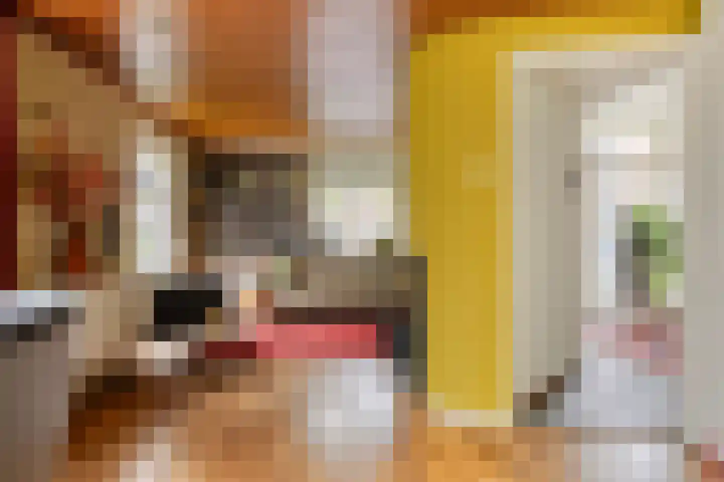Dorpsstraat 32 Zieuwent thumbnail 8