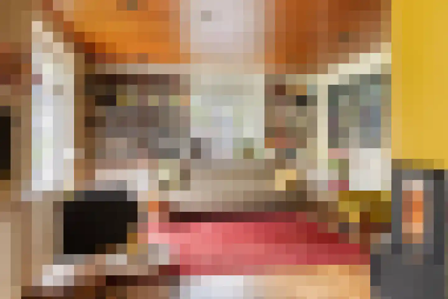 Dorpsstraat 32 Zieuwent thumbnail 9