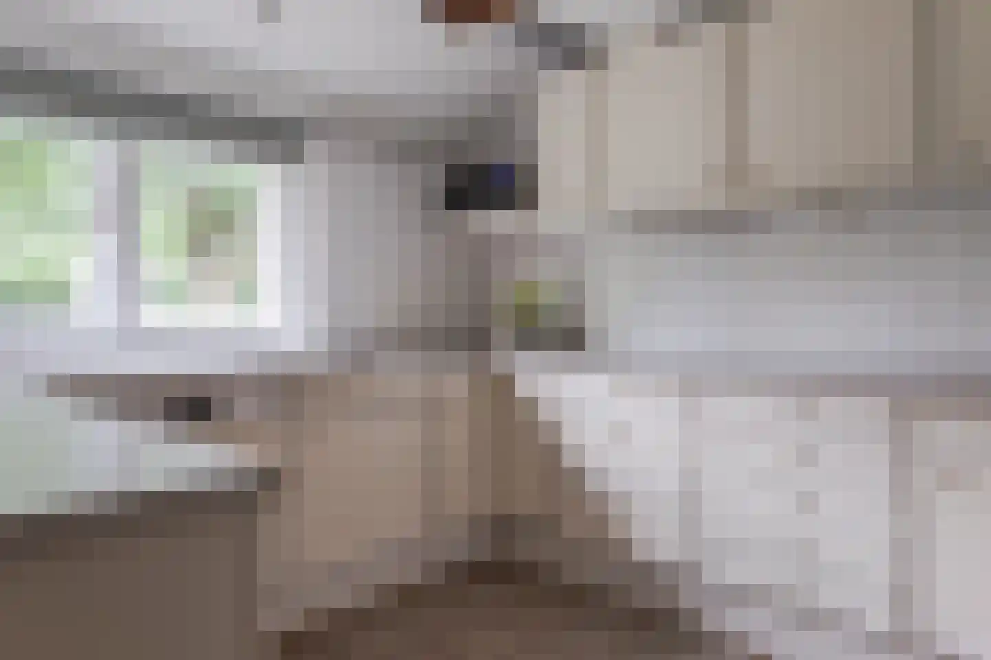 Dorpsstraat 32 Zwaag thumbnail 15