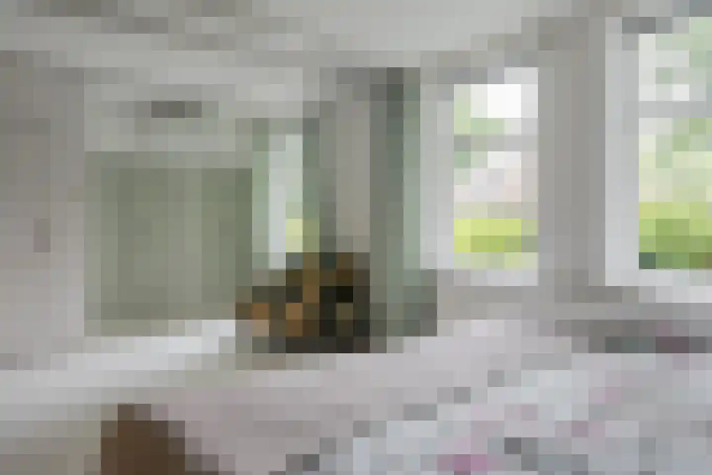 Dorpsstraat 32 Zwaag thumbnail 23