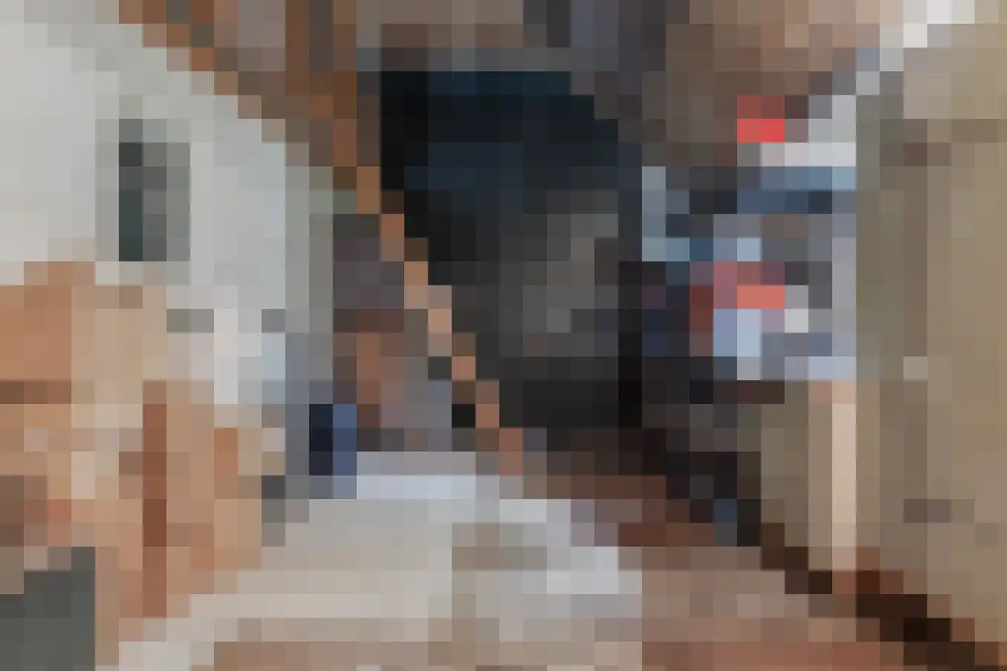 Dorpsstraat 32 Zwaag thumbnail 27