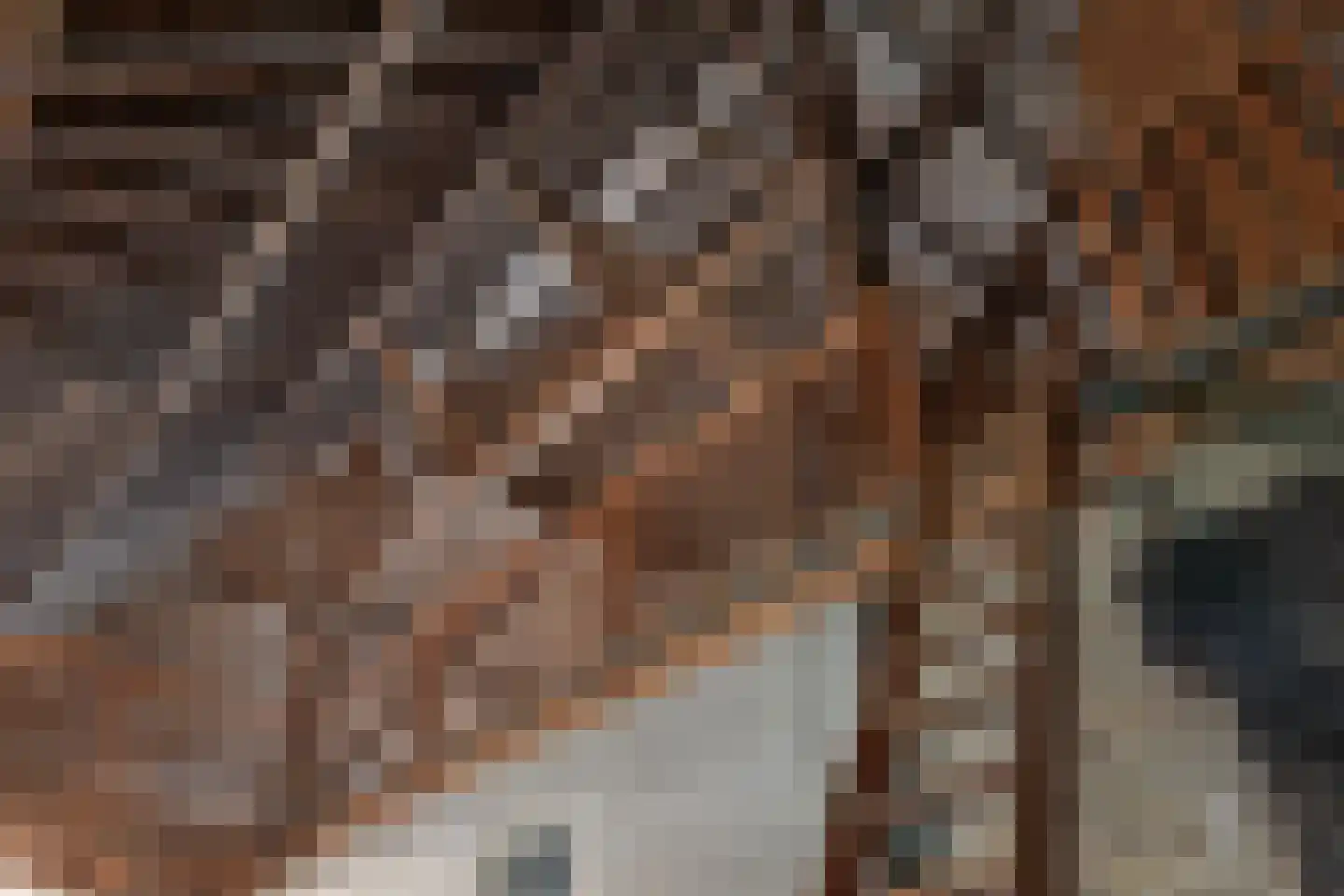 Dorpsstraat 32 Zwaag thumbnail 28
