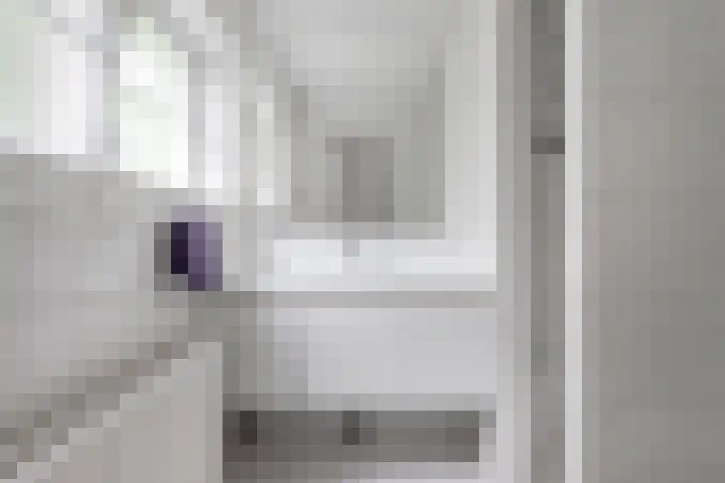 Dorpsstraat 32 Zwaag thumbnail 31