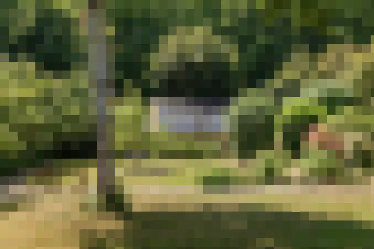 Dorpsstraat 32 Zwaag thumbnail 32