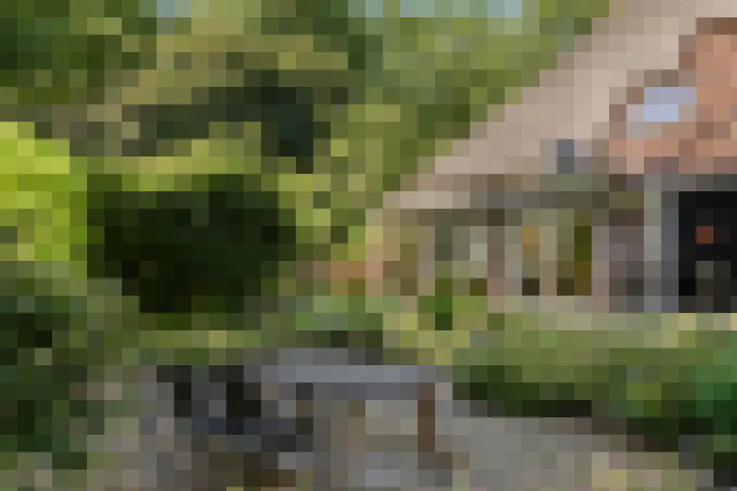 Dorpsstraat 32 Zwaag thumbnail 37